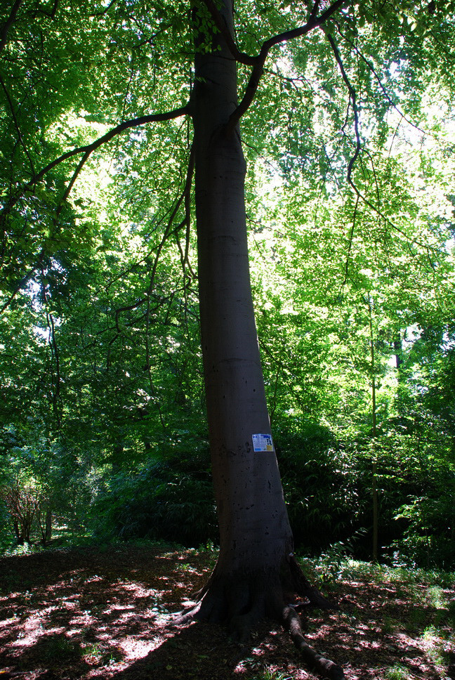 Orto Botanico_048.JPG